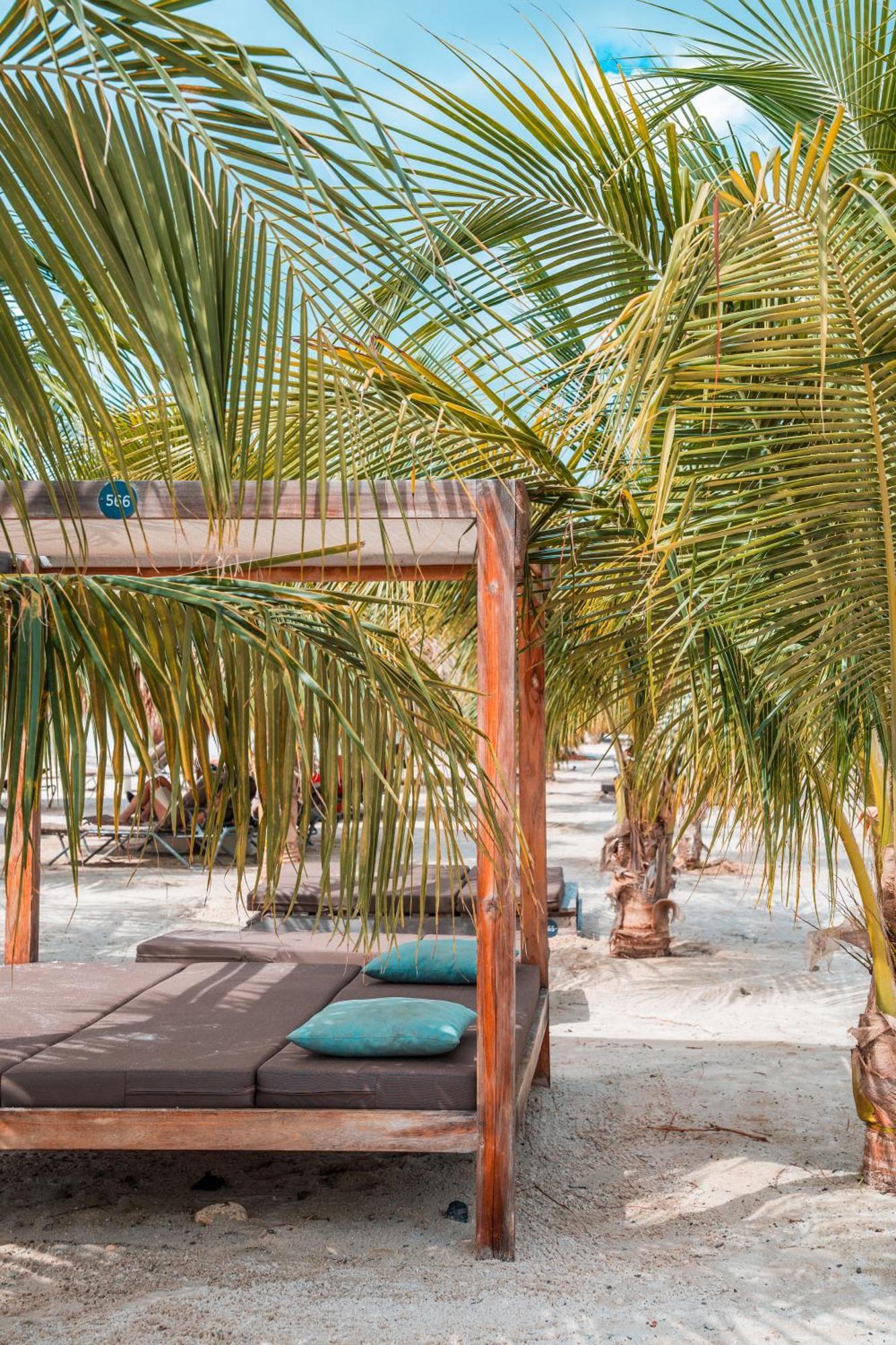 Chogogo Dive & Beach Resort Bonaire Playa Exterior foto